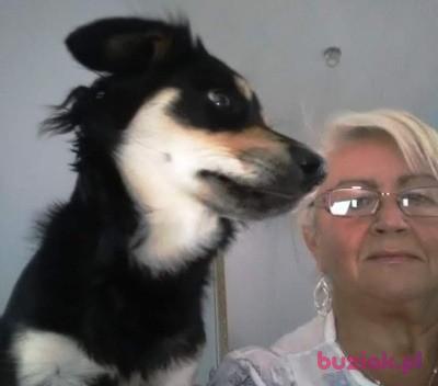 Danuta, Kobieta, 65, Bieruń, Polska, Zdjęcie: 2