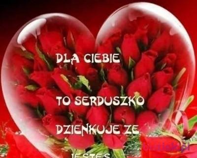 ramedlaw, Mężczyzna, 67, Gliwice, Polska, Zdjęcie: 8