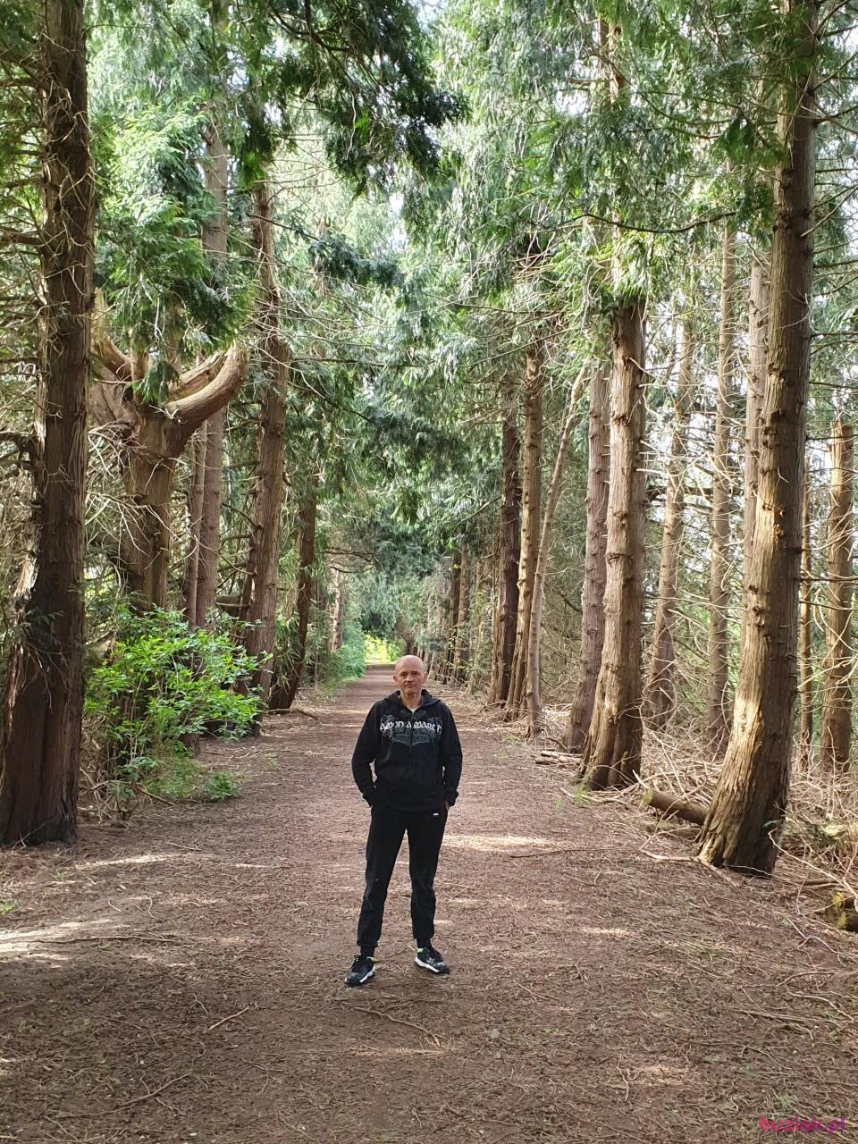 Tomasz, Mężczyzna, 44, Duisburg, Niemcy, Zdjęcie: 3