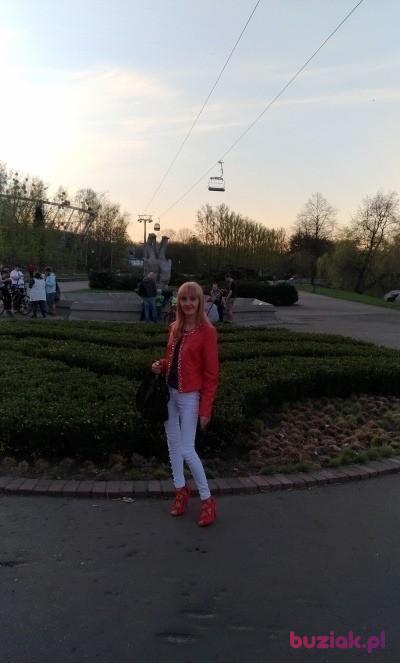 Justyna, Kobieta, 41, Gliwice, Polska, Zdjęcie: 5