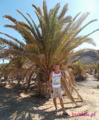 mateusz, Mężczyzna, 39, Nowogrodziec, Polska, Zdjęcie: 6