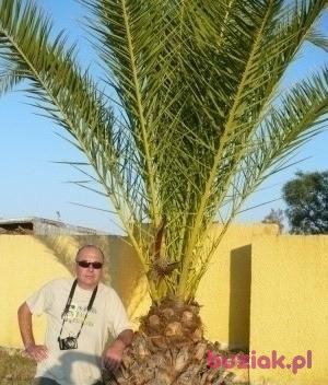 Jarek, Mężczyzna, 61, Kielce, Polska, Zdjęcie: 8
