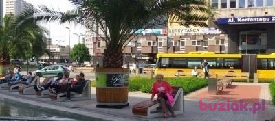 Terenia, Kobieta, 64, Katowice, Polska, Zdjęcie: 5