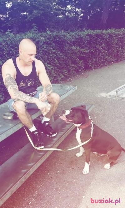 Sebastian, Mężczyzna, 37, Oss, Holandia, Zdjęcie: 2