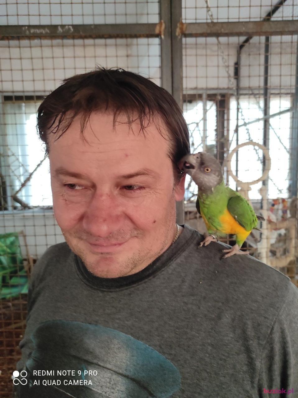 Tomasz, Mężczyzna, 53, Zawiercie, Polska, Zdjęcie: 2
