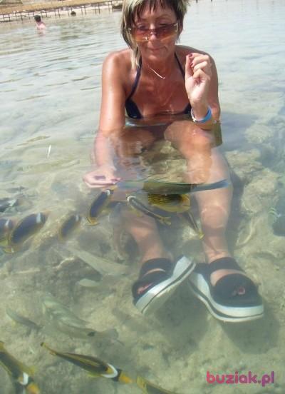 iwona, Kobieta, 60, Kielce, Polska, Zdjęcie: 1