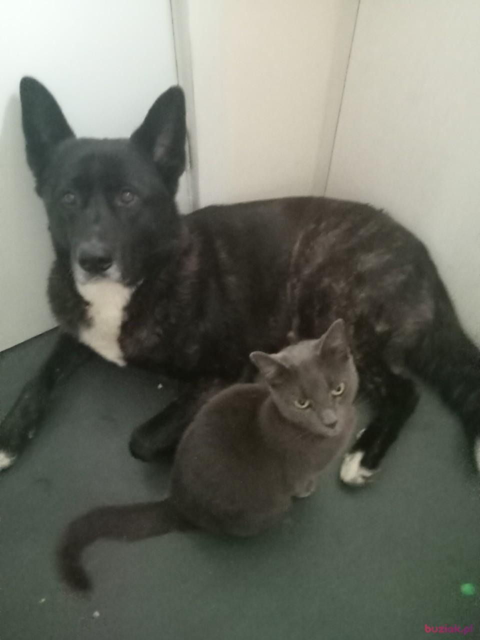 Kat, Kobieta, 40, Wielka Brytania, Zdjęcie: 4