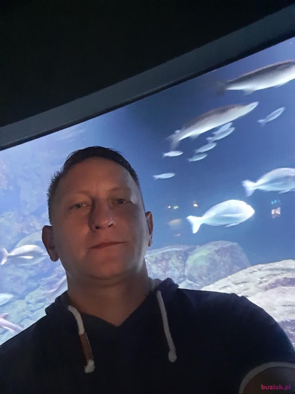 Emil, Mężczyzna, 44, Rotterdam, Holandia, Zdjęcie: 1