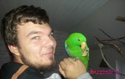 Daniel, Mężczyzna, 31, Niemcy, Zdjęcie: 4