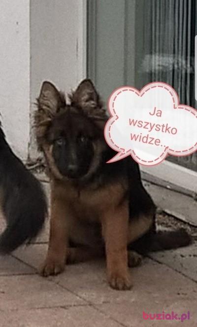 Nikki, Mężczyzna, 43, Dąbrowa Górnicza, Polska, Zdjęcie: 4