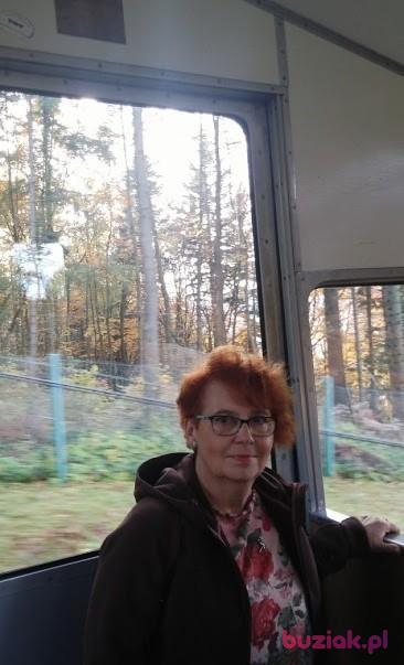 Anna, Kobieta, 72, Warszawa, Polska, Zdjęcie: 1