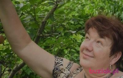 alina, Kobieta, 78, Szczecin, Polska, Zdjęcie: 2
