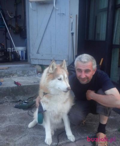 Andrzej, Mężczyzna, 59, Copenhagen, Dania, Zdjęcie: 2