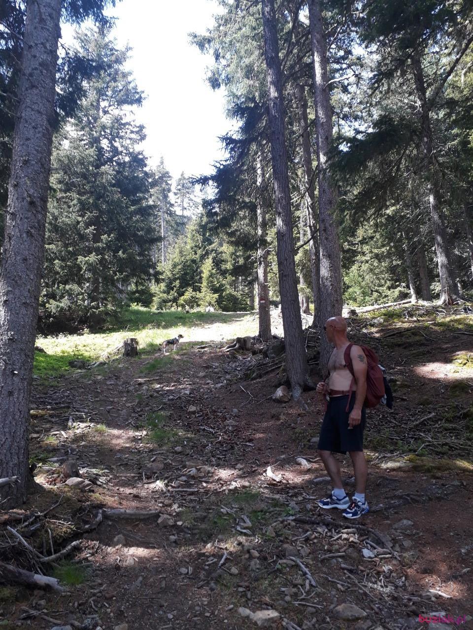 Przemek, Mężczyzna, 47, Monachium, Niemcy, Zdjęcie: 2