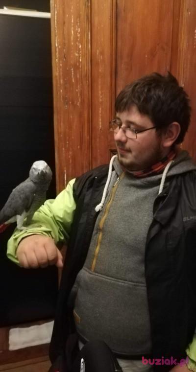 Paweł, Mężczyzna, 28, Wrocław, Polska, Zdjęcie: 3