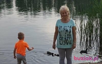 Barbara, Kobieta, 74, Sosnowiec, Polska, Zdjęcie: 3
