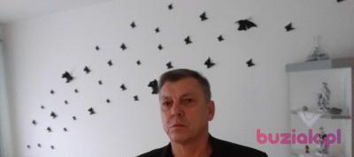 Zygmunt , Mężczyzna, 63, Darłowo, Polska, Zdjęcie: 1