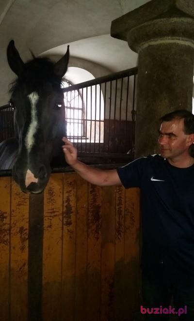 Waldi, Mężczyzna, 50, Koło, Polska, Zdjęcie: 2