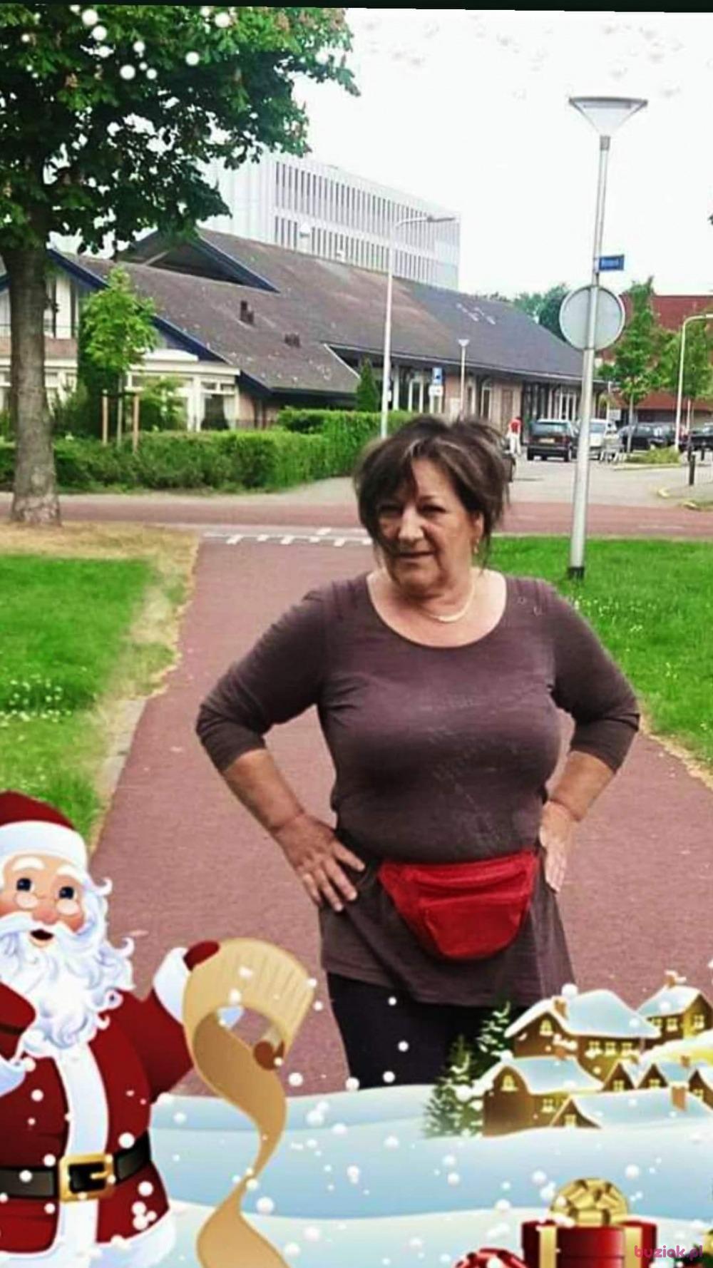 Grazyna , Kobieta, 67, Oss, Holandia, Zdjęcie: 17