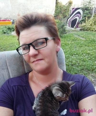 Alicja, Female, 50, Korfantów, Polska, Photo: 2
