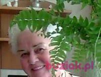 Halina, Kobieta, 85, Zielona Góra, Polska, Zdjęcie: 4