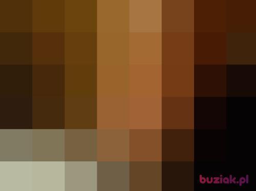 kunix041, Male, 27 years, Chełmża