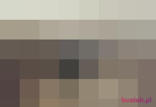 krystian0000, Male, 41 years, Kirkton