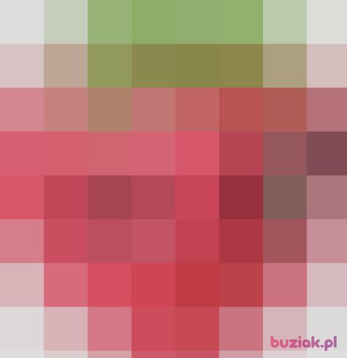 biedronkakasia, Kobieta, 44 lata, Grudziądz