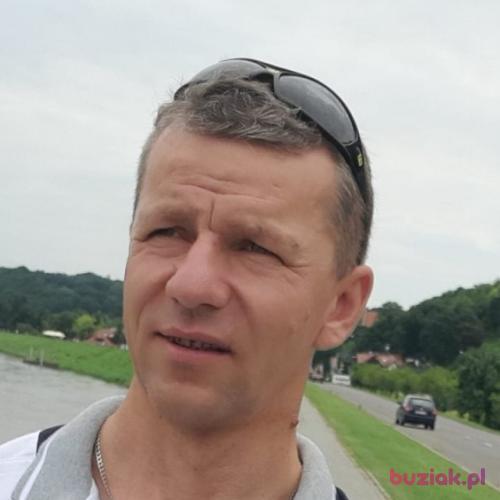 Psotek1, Mężczyzna, 43 lata, Poznań