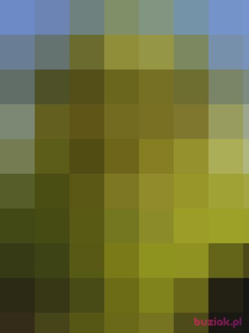 Shrek24, Male, 38 years, Alwernia