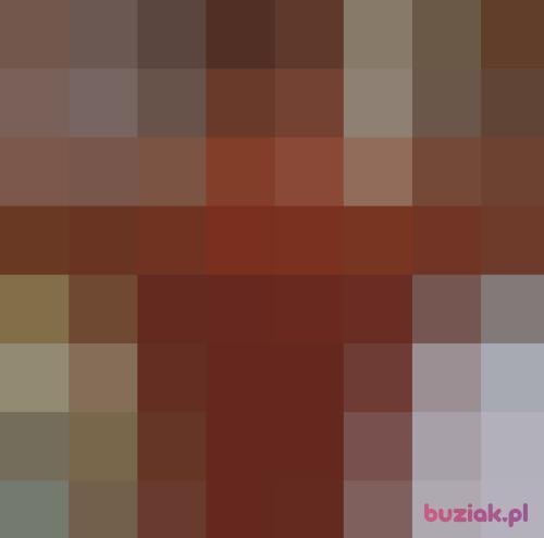 GraDuch, Male, 32 years, Wąbrzeźno