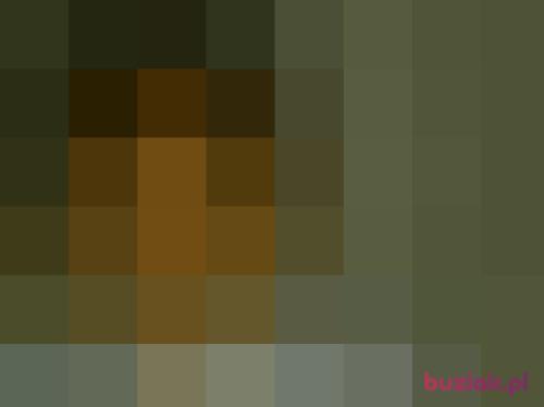 Brucelx, Male, 48 years, Kamień Krajeński