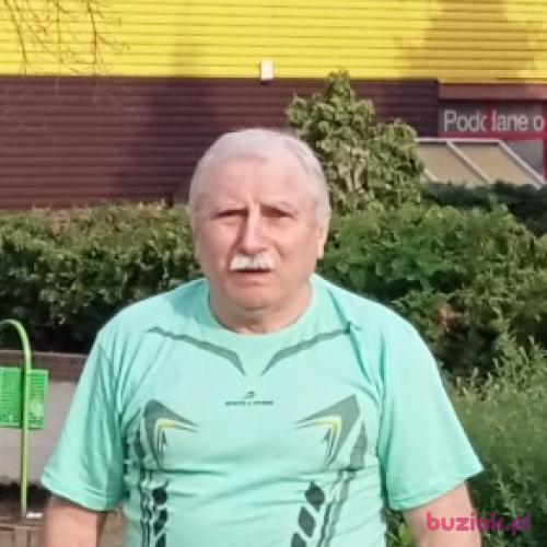 ZIGGY55, Mężczyzna, 71 lat, Toruń