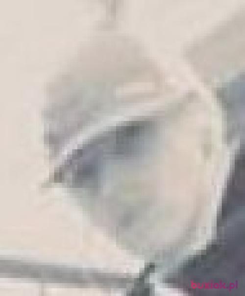 Pawel1996, Male, 30 years, Saarbrucken