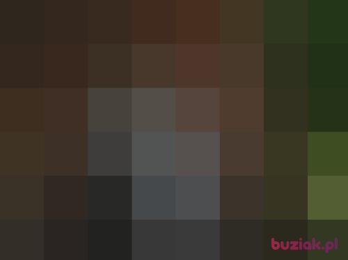 jan23, Male, 67 years, Rybnik