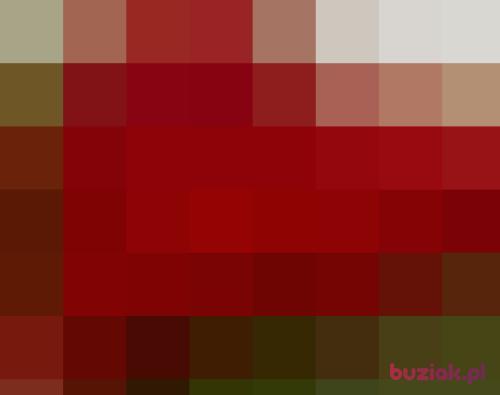 ander55, Male, 56 years, Villeurbanne