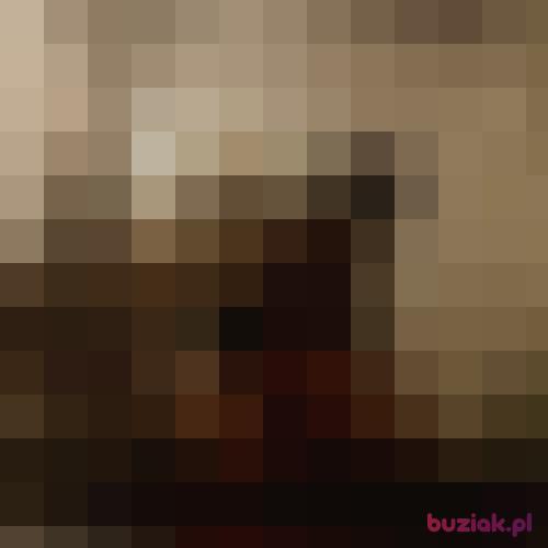 Damian2288, Male, 40 years, Bydgoszcz
