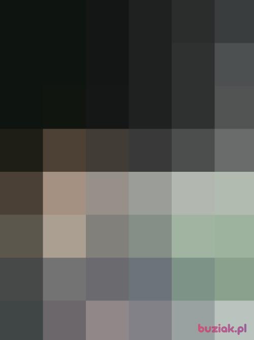 Tomek648, Mężczyzna, 36 lat, Poznań