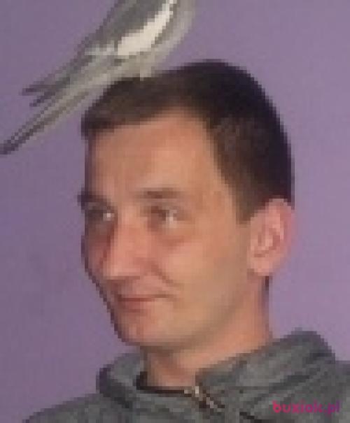 lukasz8408, Mężczyzna, 41 lat, Mysłowice