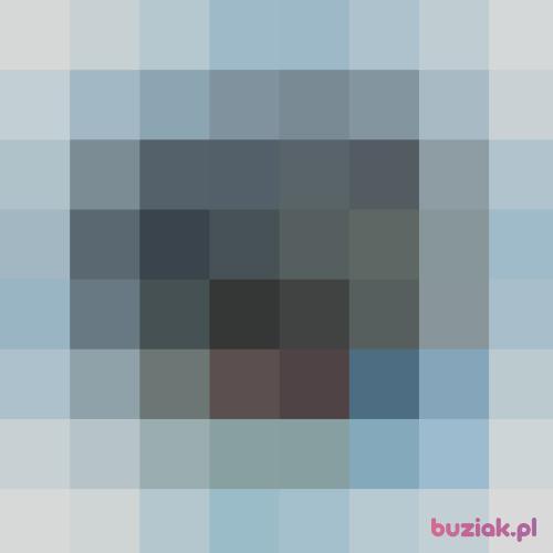 NATA7501, Kobieta, 51 lat, Lisse