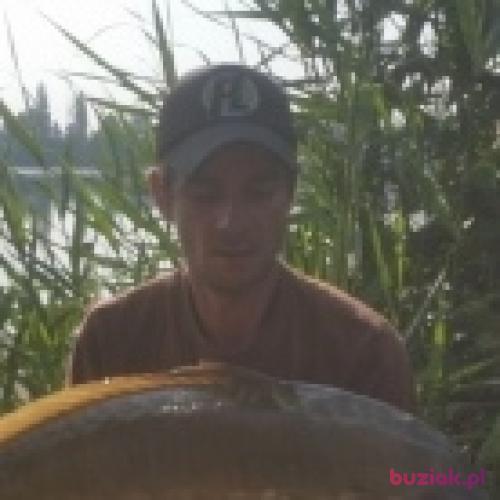 Dariusz041, Mężczyzna, 51 lat, Tychy