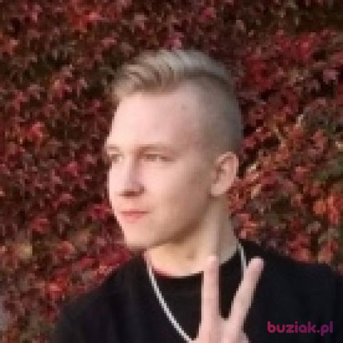 DawidAkaPrawol, Mężczyzna, 24 lata, Żory