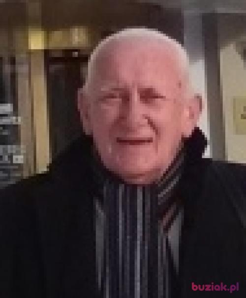maciaczek, Mężczyzna, 80 lat, Limburgia