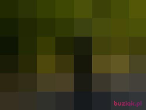 FooX, Male, 32 years, Leszno
