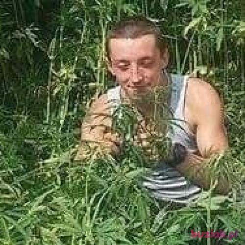 Dymkowski1992, Male, 34 years, Utrecht
