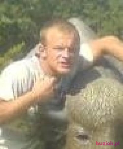 gondek2, Mężczyzna, 38 lat, Gogolin