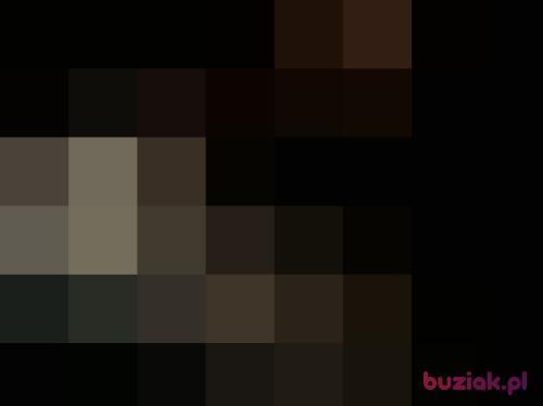 kamik, Mężczyzna, 29 lat, Kazimierza Wielka