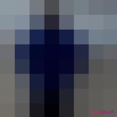 waldemarek61, Mężczyzna, 65 lat, Katowice