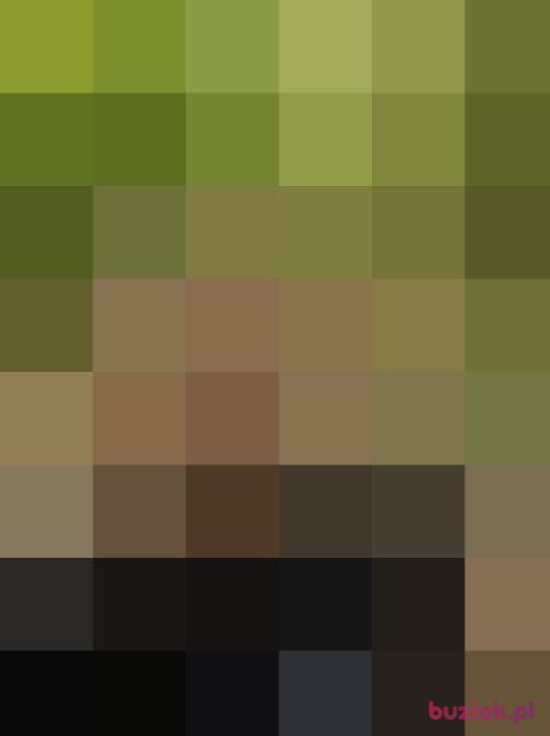 davididc, Mężczyzna, 48 lat, Oława