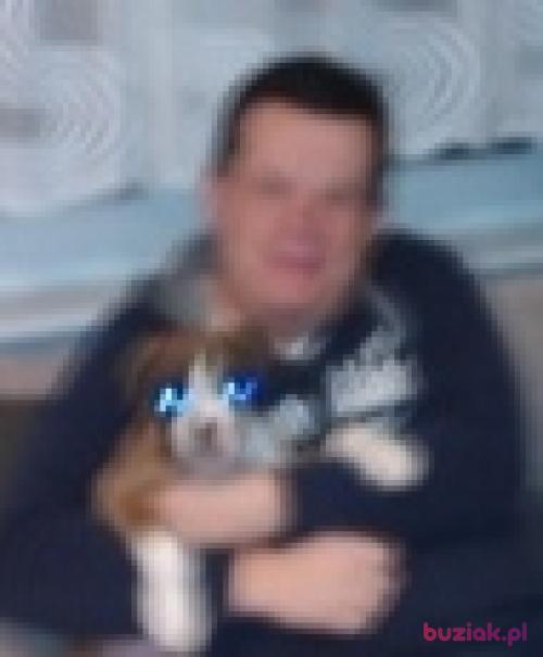 Sylwester33, Mężczyzna, 42 lata, Tomaszów Mazowiecki